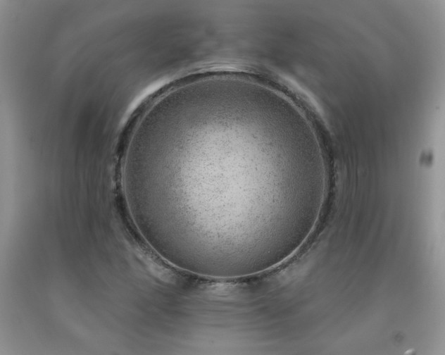 X0000092301166200709141314