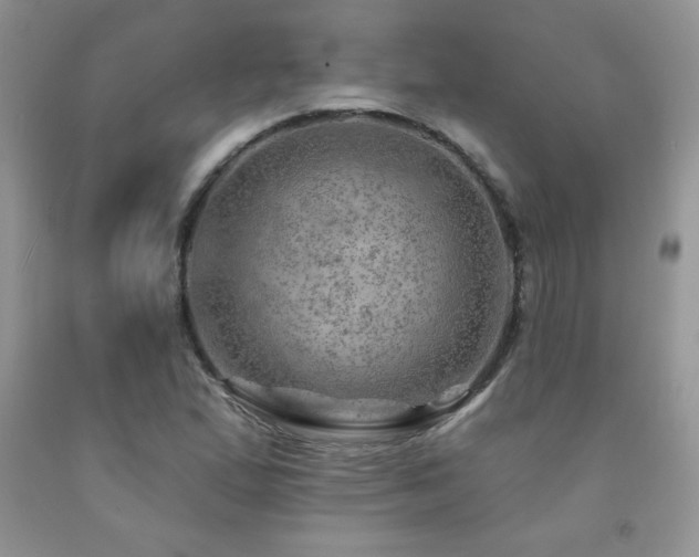 X0000092301167200709141314