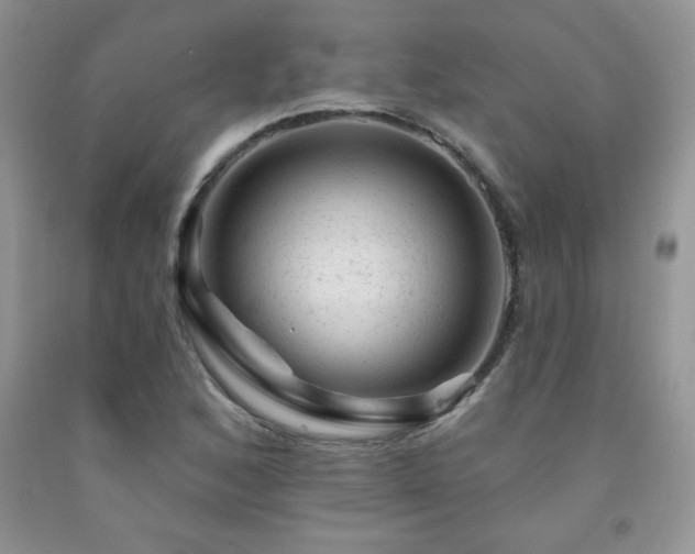 X0000092301168200709141314