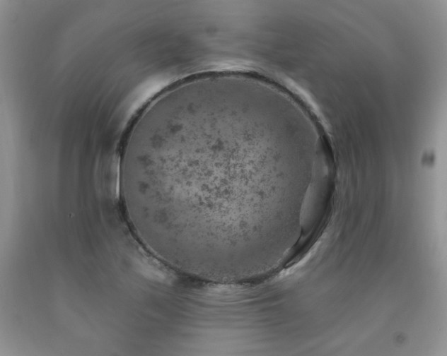 X0000092301171200709141314