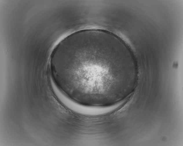 X0000092301173200709141313