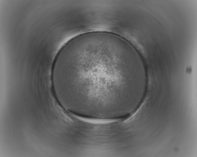 X0000092301174200709141313