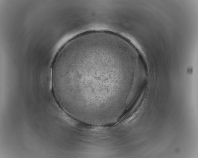 X0000092301175200709141313