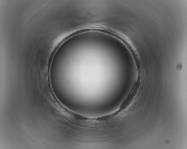 X0000092301176200709141313