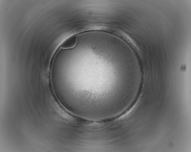 X0000092301178200709141313