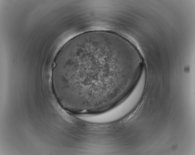 X0000092301179200709141313