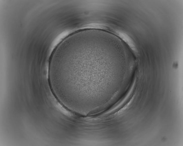 X0000092301180200709141313