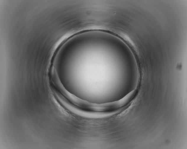 X0000092301181200709141313