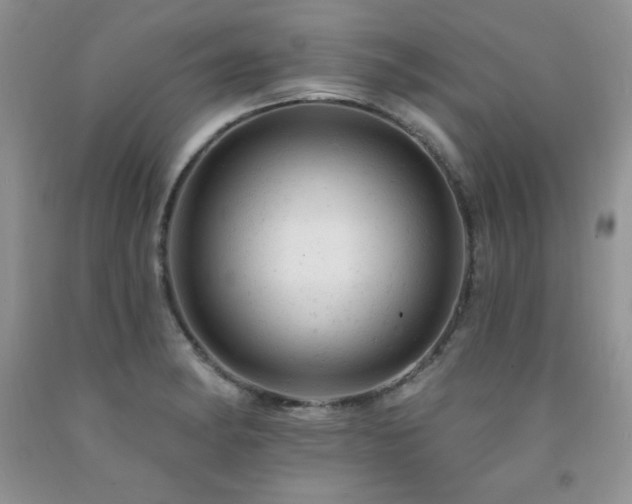 X0000092301182200709141313