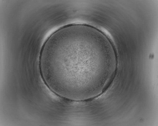 X0000092301183200709141313
