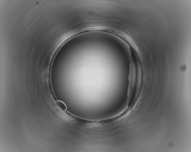 X0000092301186200709141313