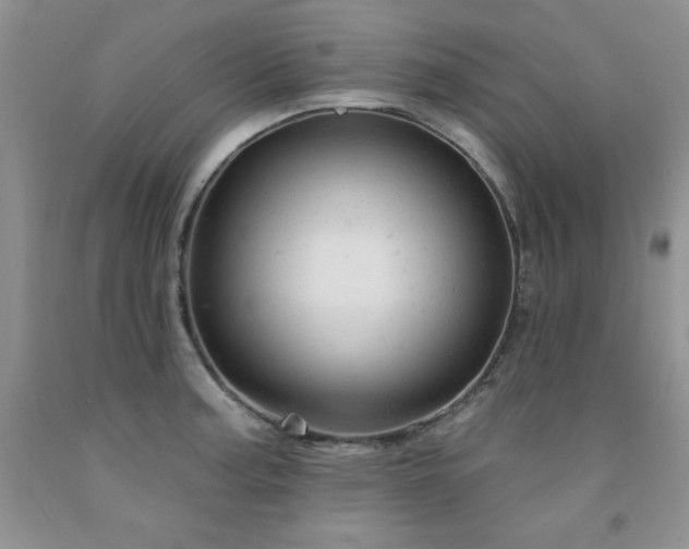 X0000092301187200709141313
