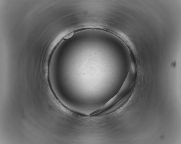 X0000092301188200709141313