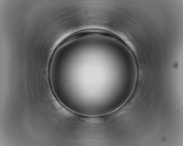 X0000092301189200709141313