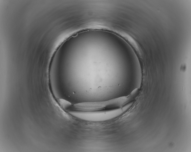 X0000092301191200709141313