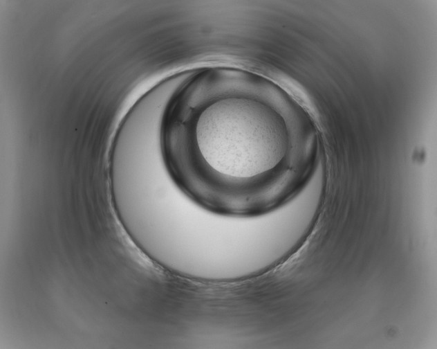 X0000092301192200709141313