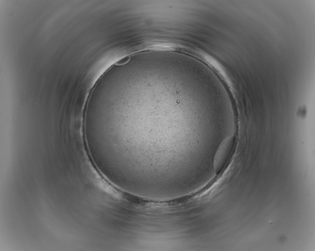 X0000092301194200709141313