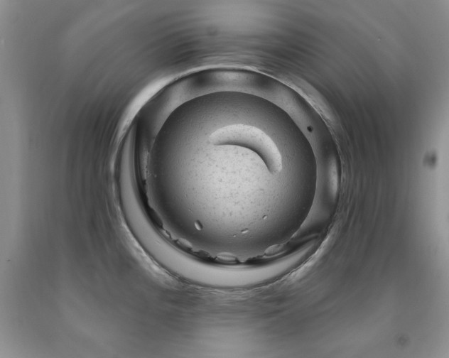 X0000092301196200709141313