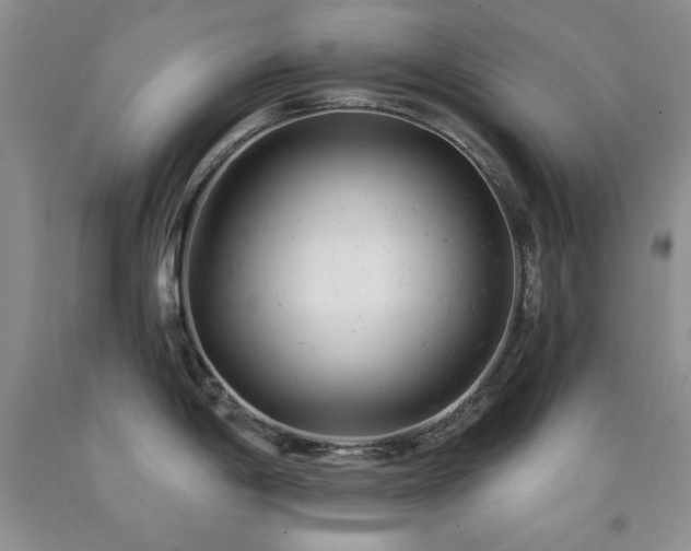 X0000092301198200709141313