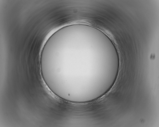 X0000092301200200709141313