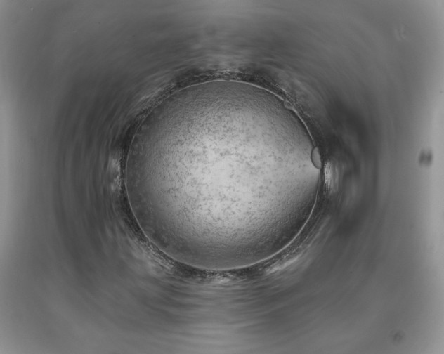 X0000092301203200709141313