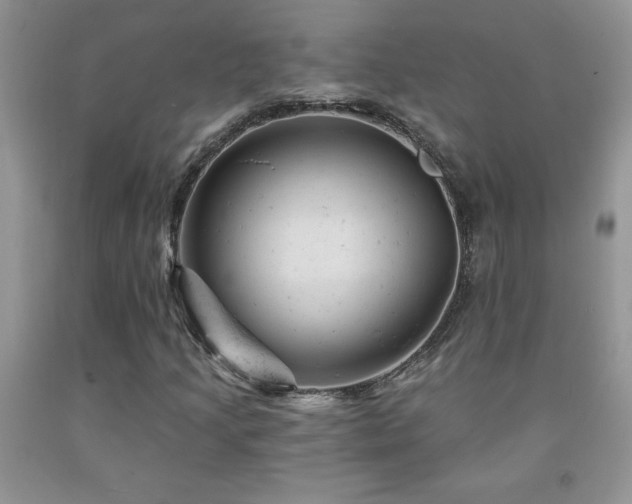 X0000092301205200709141313