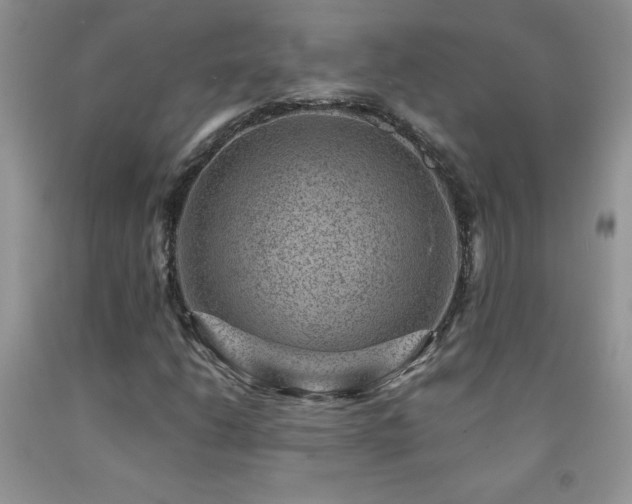 X0000092301206200709141313