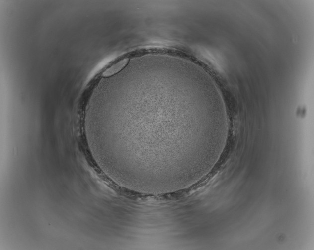 X0000092301208200709141313