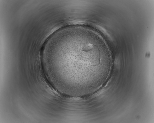 X0000092301209200709141313