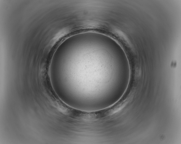 X0000092301210200709141313