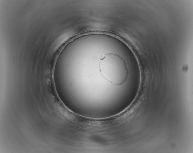 X0000092301211200709141313