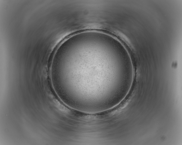 X0000092301212200709141313