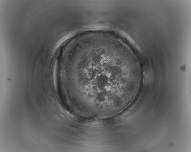 X0000092301213200709141313