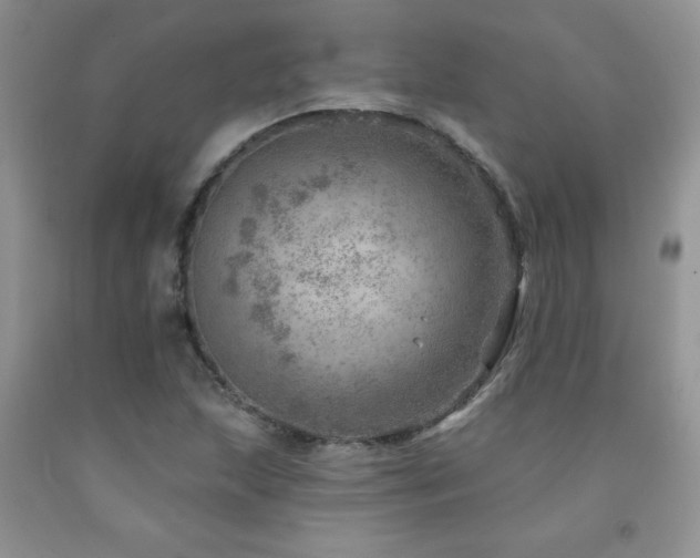 X0000092301215200709141313