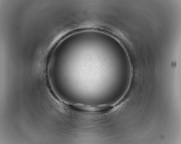 X0000092301216200709141313