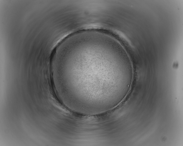 X0000092301217200709141313