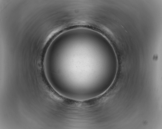 X0000092301218200709141313