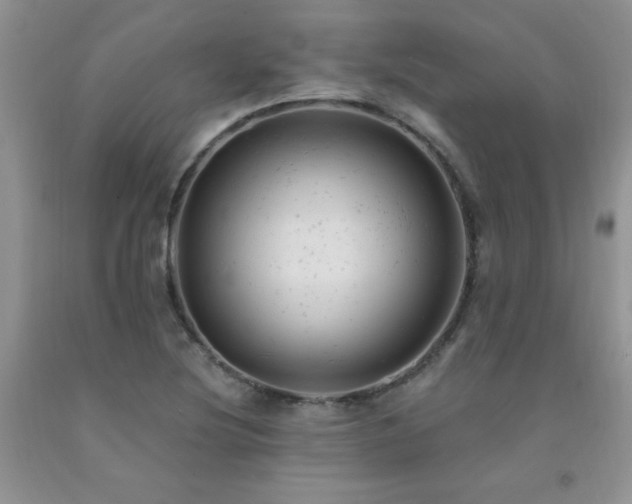 X0000092301220200709141313