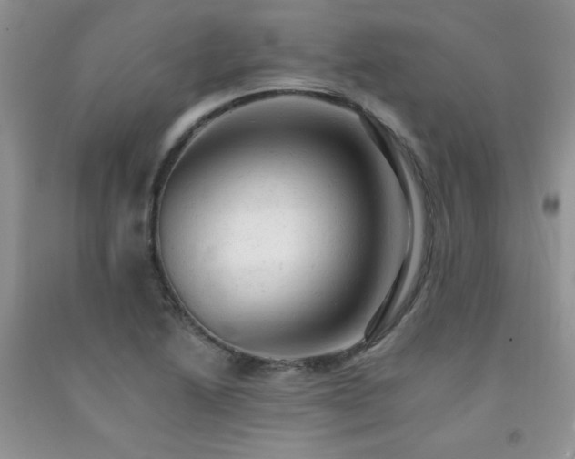 X0000092301222200709141313
