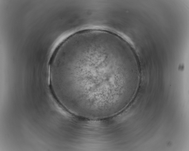 X0000092301223200709141313
