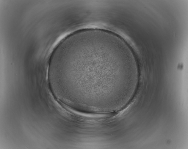 X0000092301224200709141313
