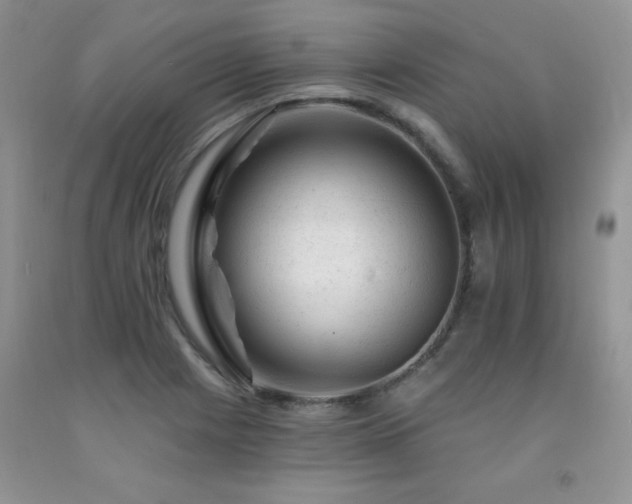 X0000092301225200709141313