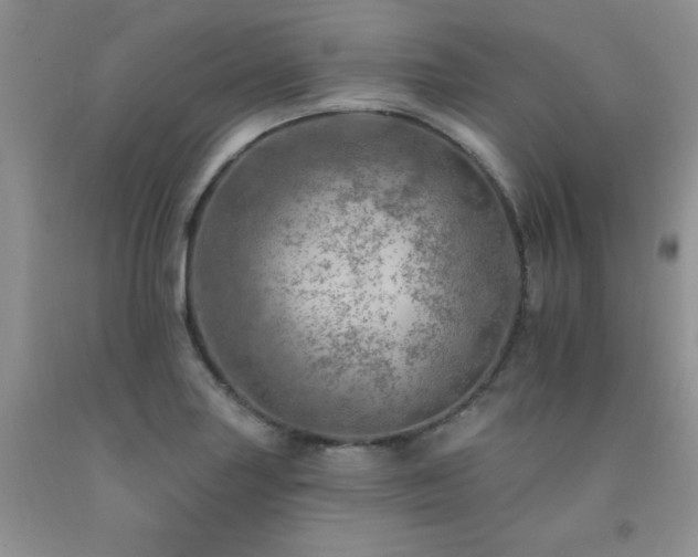 X0000092301227200709141313