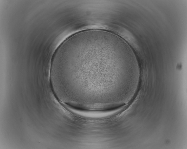 X0000092301228200709141313