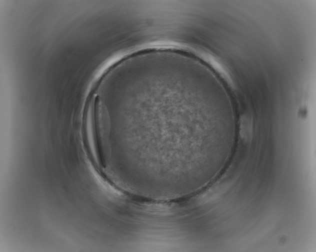 X0000092301229200709141313