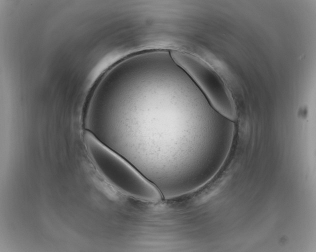 X0000092301230200709141313