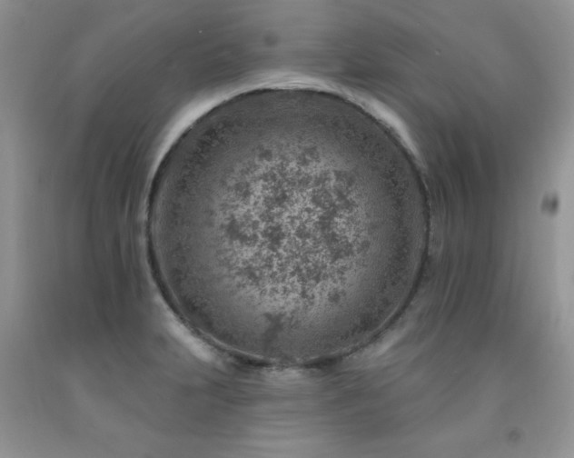 X0000092301231200709141313