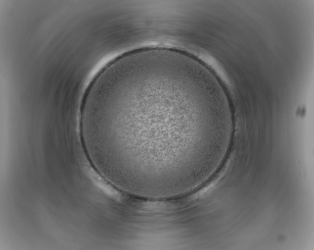 X0000092301232200709141313