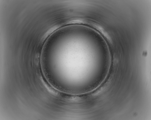 X0000092301233200709141313