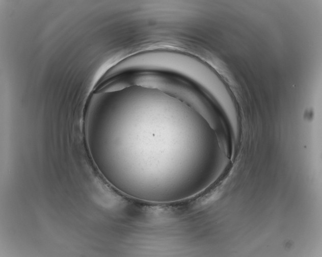 X0000092301234200709141313